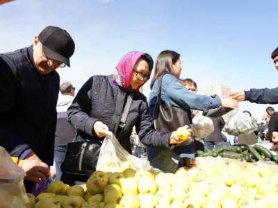 Астанадағы жәрмеңкеге үш облыс 1 200 тоннадан астам өнім әкеледі