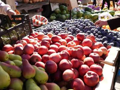 Астанадағы жәрмеңкеге төрт облыстан 900 тонна өнім жеткізіледі