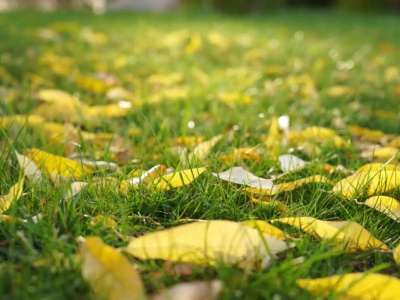 Синоптиктер дүйсенбіге арналған ауа райы болжамын жариялады