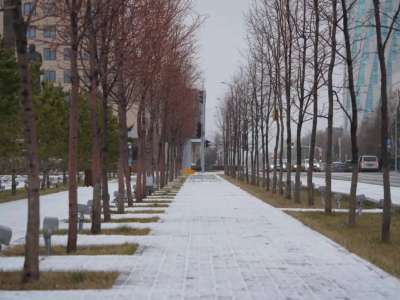 Вирустардан қорғануға арналған дезинфекциялық құралды қалай таңдауға болады