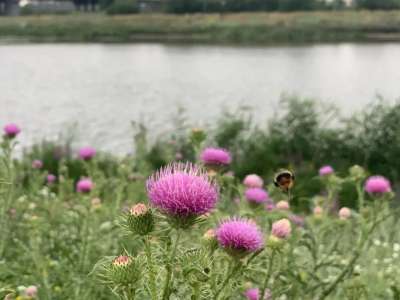 Алдағы күндері елімізде ауа температурасы төмендейді