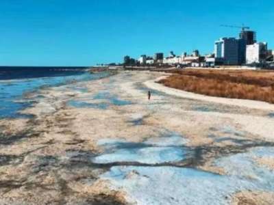 Каспий теңізінің жағалауында орналасқан 50 га жер мемлекетке қайтарылды