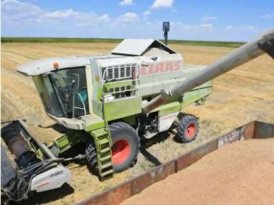 Еліміз жаңа өнімнен 1,6 млн тонна астық экспорттады