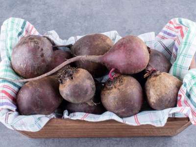 Үкіметте қант қызылшасын қабылдау және өңдеу жоспарлары айтылды