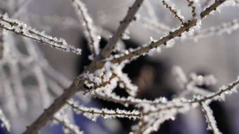 Республикалық маңызы бар автожолдардың барлығы ашық – Қазавтожол